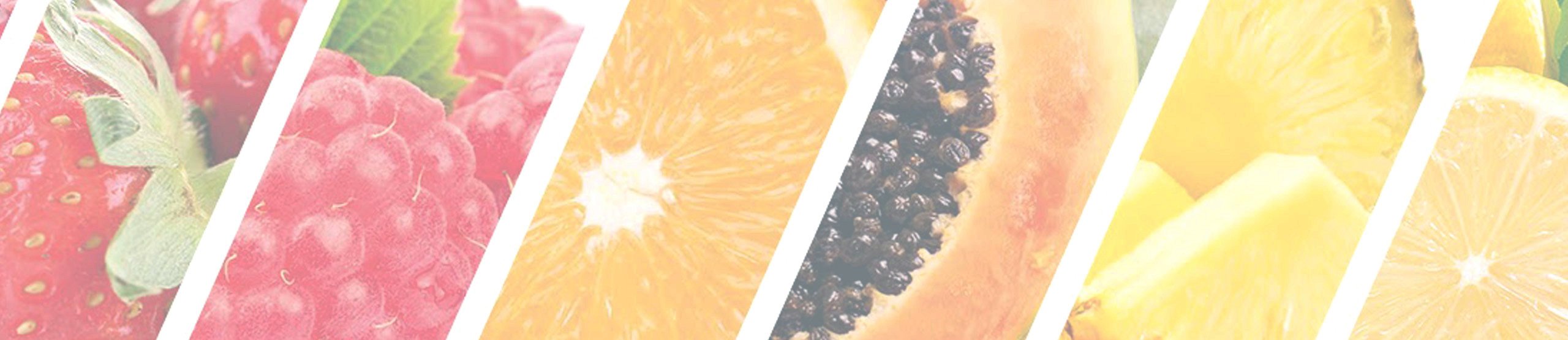 Golositalia-2019-banner-3