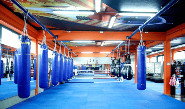 Rimini-wellness-2018-gym