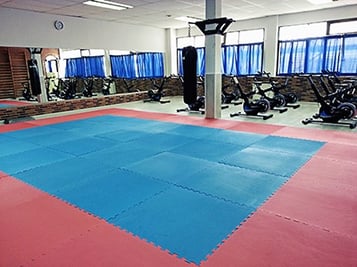 Rimini-wellness-2018-tatami