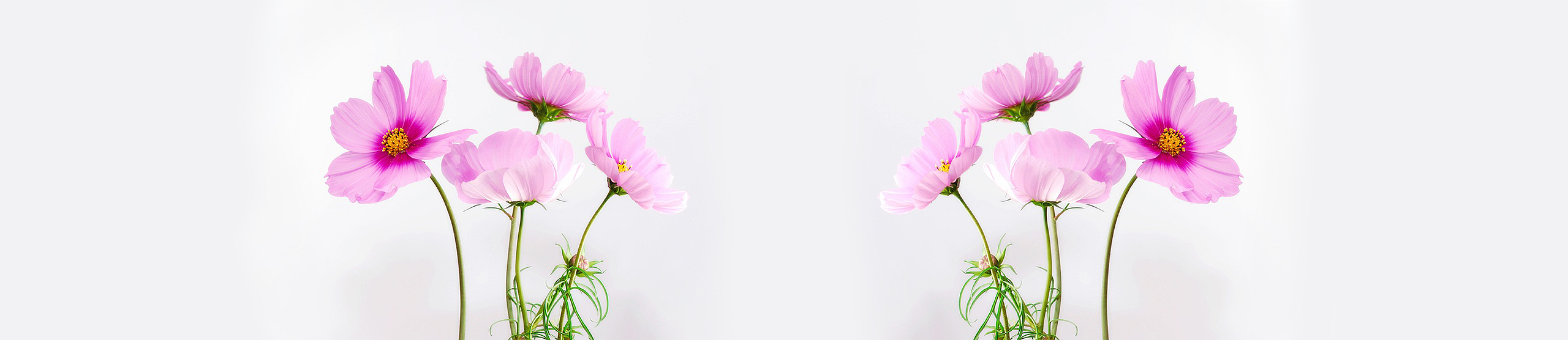 Header