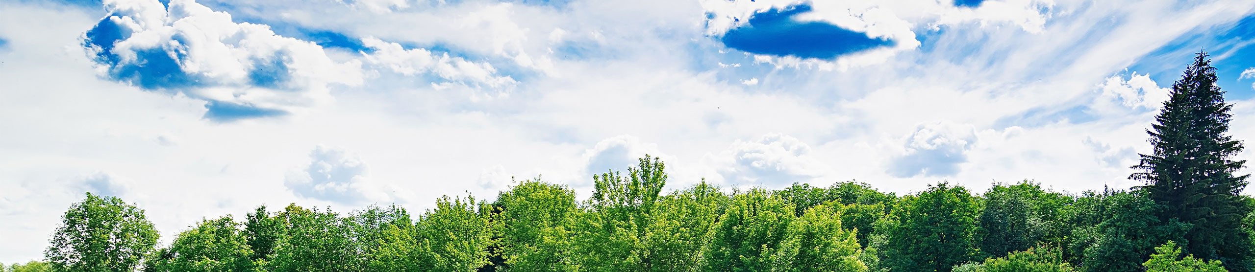 purificatore-virus-header