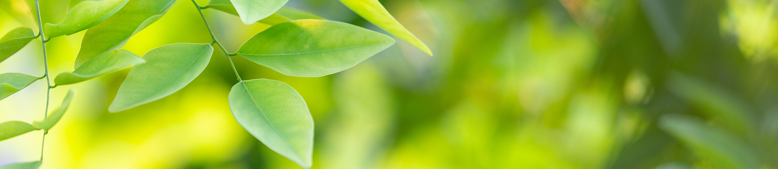 header-detergenti